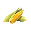 Chócolo mazorca