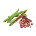 Fríjol verde