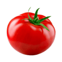 Tomate